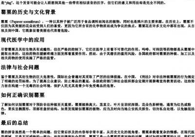 罂的拼音是什么.docx免费下载(word版可打印)