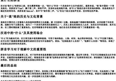 袁什么的拼音.docx免费下载(word版可打印)