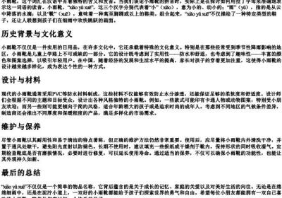 小雨靴的拼音.docx免费下载(word版可打印)
