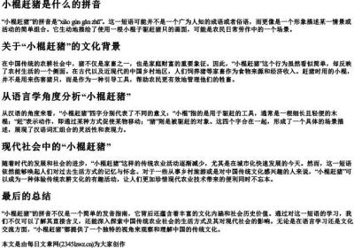 小棍赶猪是什么的拼音.docx免费下载(word版可打印)