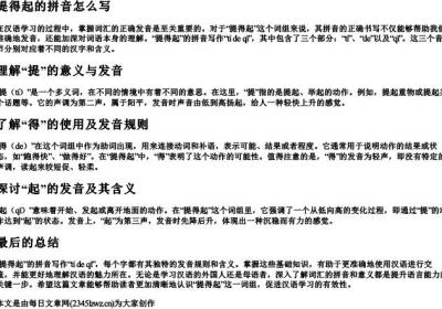 提得起的拼音怎么写.docx免费下载(word版可打印)