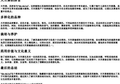 天竺葵的拼音.docx免费下载(word版可打印)