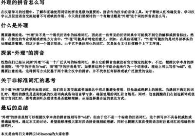 外理的拼音怎么写.docx免费下载(word版可打印)