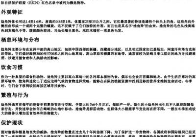 捻角羚的拼音.docx免费下载(word版可打印)