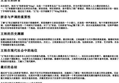 王怎么的拼音.docx免费下载(word版可打印)
