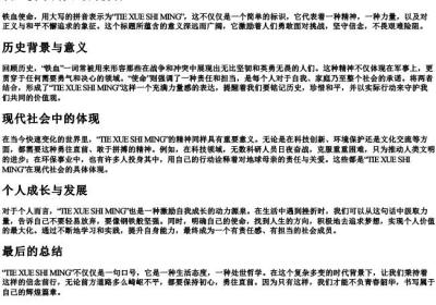 铁血使命的大写的拼音.docx免费下载(word版可打印)