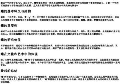 鳍的拼音是什么.docx免费下载(word版可打印)