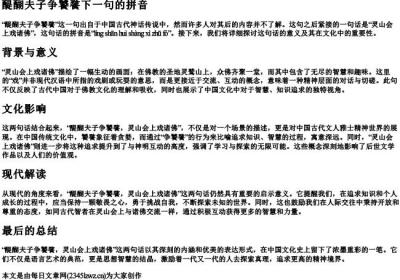 醍醐夫子争饕餮下一句的拼音.docx免费下载(word版可打印)