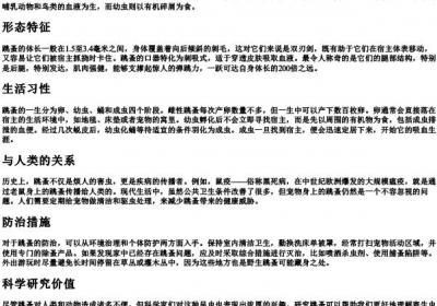 跳蚤的拼音.docx免费下载(word版可打印)