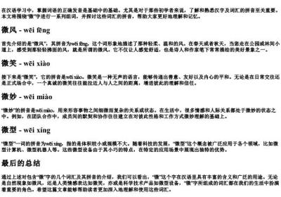 微组词的拼音.docx免费下载(word版可打印)