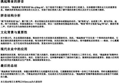 挑起粮食的拼音.docx免费下载(word版可打印)