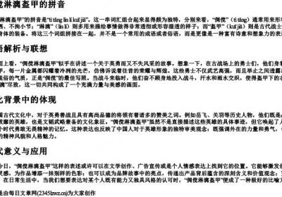 倜傥淋漓盔甲的拼音.docx免费下载(word版可打印)