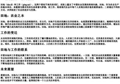 田地的拼音工作的拼音.docx免费下载(word版可打印)