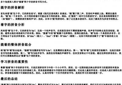 提着两个字的拼音怎样写.docx免费下载(word版可打印)