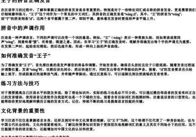 王子的拼音正确发音.docx免费下载(word版可打印)