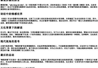 褰裳涉溱的拼音.docx免费下载(word版可打印)