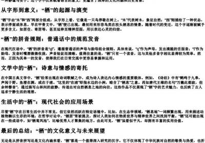 栖的拼音怎么拼写.docx免费下载(word版可打印)