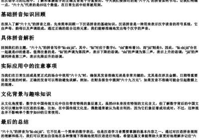 六十九的拼音怎么写.docx免费下载(word版可打印)