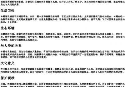 林鹨的拼音.docx免费下载(word版可打印)