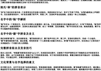 林陆毅的拼音要怎么拼.docx免费下载(word版可打印)