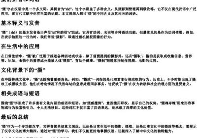 摄的拼音和词语.docx免费下载(word版可打印)