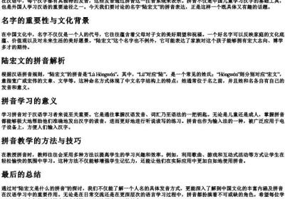 陆宏文是什么的拼音.docx免费下载(word版可打印)