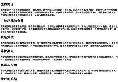 鹿角蕨的拼音.docx免费下载(word版可打印)