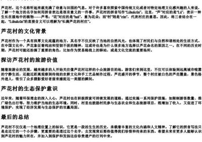 芦花村的拼音怎么写.docx免费下载(word版可打印)
