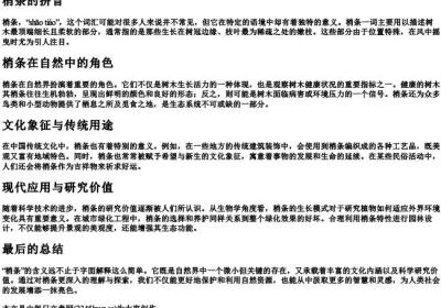 梢条的拼音.docx免费下载(word版可打印)
