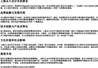 上海永久自行车的拼音.docx免费下载(word版可打印)