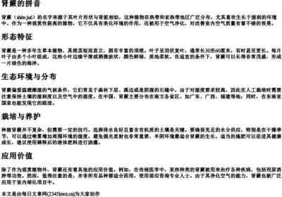 肾蕨的拼音.docx免费下载(word版可打印)