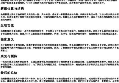 桡侧籽骨的拼音.docx免费下载(word版可打印)