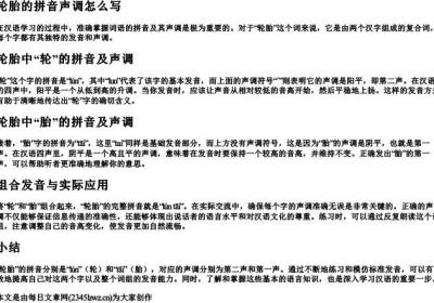 轮胎的拼音声调怎么写.docx免费下载(word版可打印)