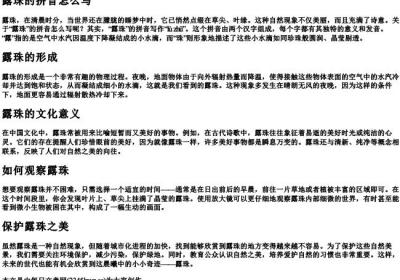 露珠的拼音怎么写.docx免费下载(word版可打印)