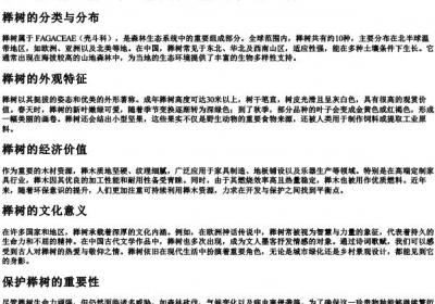 榉树的拼音.docx免费下载(word版可打印)