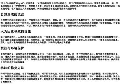 坑洼的拼音.docx免费下载(word版可打印)