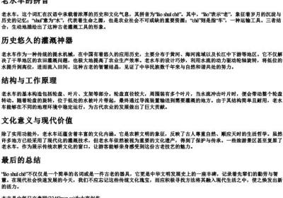 老水车的拼音.docx免费下载(word版可打印)