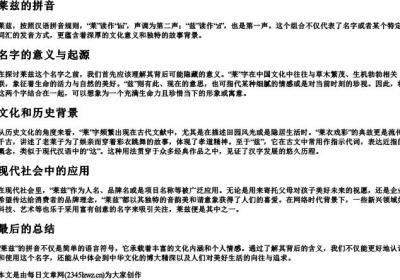 莱兹的拼音.docx免费下载(word版可打印)