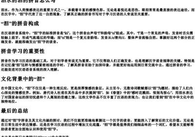 泪水的泪的拼音怎么写.docx免费下载(word版可打印)