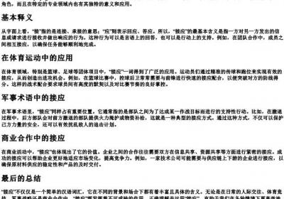 接应的拼音.docx免费下载(word版可打印)