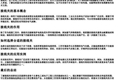 接线夹的拼音是什么.docx免费下载(word版可打印)