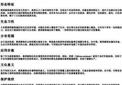 蓟类植物的拼音.docx免费下载(word版可打印)