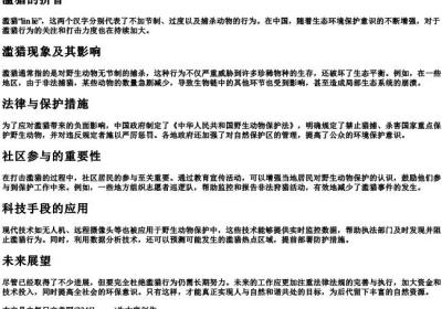滥猎的拼音.docx免费下载(word版可打印)