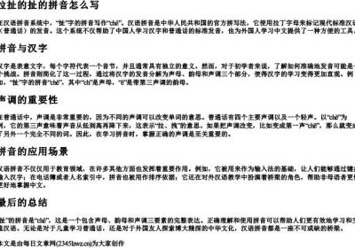 拉扯的扯的拼音怎么写.docx免费下载(word版可打印)