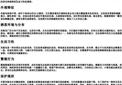 灰椋鸟的拼音.docx免费下载(word版可打印)