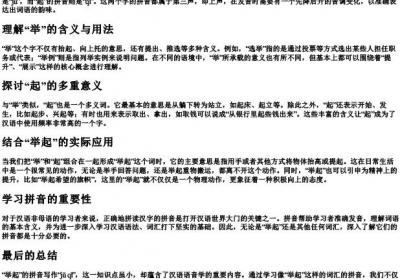 举起的拼音怎么写.docx免费下载(word版可打印)