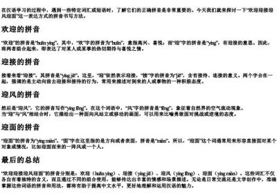 欢迎迎接迎风迎面的拼音怎么写.docx免费下载(word版可打印)