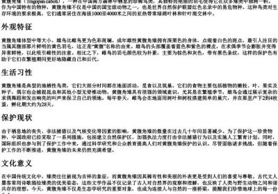 黄腹角雉的拼音.docx免费下载(word版可打印)