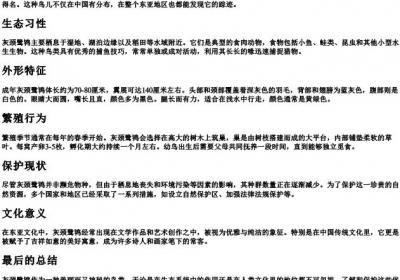 灰颈鹭鸨怎么的拼音.docx免费下载(word版可打印)