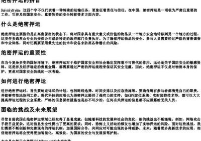 绝密押运的拼音.docx免费下载(word版可打印)